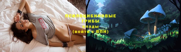 a pvp Новокубанск