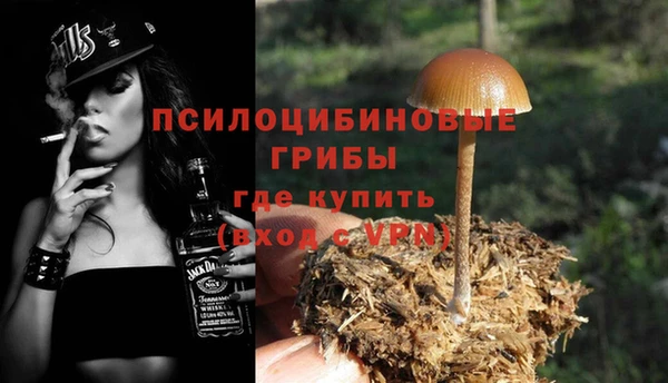 соль ск Абаза