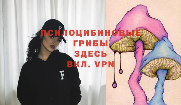 эйфоретик Абинск